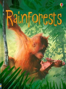 Rainforests (Usborne Beginners) - Lucy Beckett-Bowman