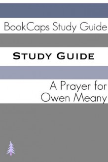 Study Guide: A Prayer for Owen Meany - BookCaps