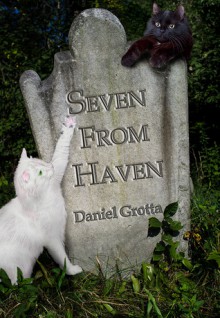 Seven From Haven - Daniel Grotta