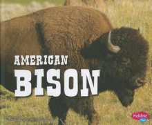 American Bison - Steve Potts