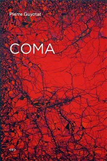 Coma (Semiotext(e) / Native Agents) - Pierre Guyotat, Noura Wedell