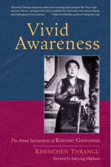 Vivid Awareness: The Mind Instructions of Khenpo Gangshar - Khenchen Thrangu, Gangshar Wangpo, David Karma Choephel, Sakyong Mipham