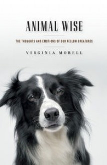 Animal wise: the thoughts and emotions of our fellow creatures - Virginia Morell