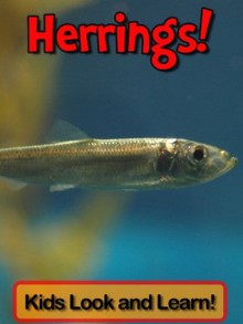 Herrings! Learn About Herrings and Enjoy Colorful Pictures - Look and Learn! (50+ Photos of Herrings) - Becky Wolff