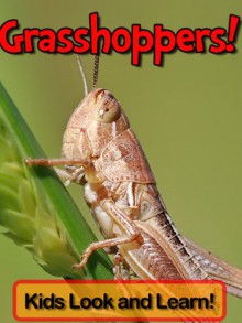 Grasshoppers! Learn About Grasshoppers and Enjoy Colorful Pictures - Look and Learn! (50+ Photos of Grasshoppers) - Becky Wolff