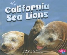 California Sea Lions - Megan Cooley Peterson