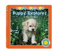 Puppy Explores - Lisa Odierno