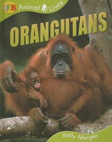 Orang-Utans, Animal Lives, Books Are Fun Edition - Sally Morgan