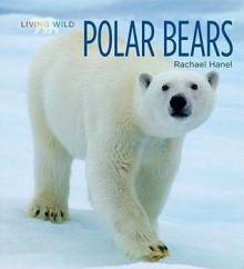 Polar Bears - Rachael Hanel