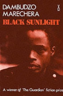 Black Sunlight - Dambudzo Marechera