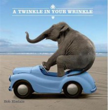 A Twinkle in Your Wrinkle - Bob Elsdale