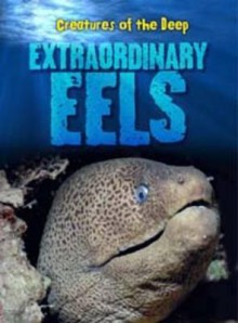 Extraordinary Eels - Casey Rand