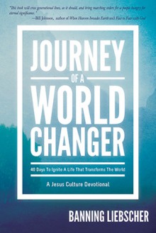 Journey of a World Changer: 40 Days to Ignite a Life that Transforms the World - Banning Liebscher