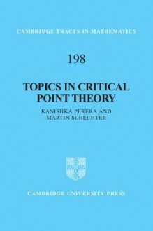 Topics in Critical Point Theory - Kanishka Perera, Martin Schechter