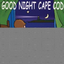 Good Night Cape Cod (Board Books) - Adam Gamble, John Andert