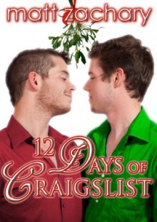 12 Days of Craigslist - Matt Zachary