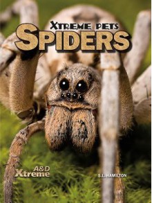 Spiders - Sue L. Hamilton