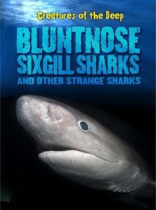 Bluntnose Sixgill Sharks and Other Strange Sharks - Rachel Lynette