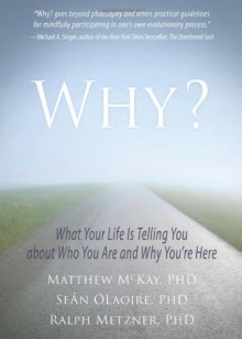 Why?: What Your Life Is Telling You about Who You Are and Why You're Here - Matthew McKay, Sean OLaoire, Ralph Metzner