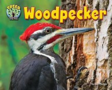 Woodpecker - Dee Phillips