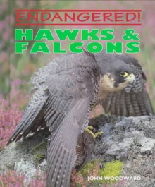 Hawks & Falcons - John Woodward