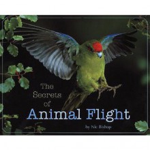 The Secrets of Animal Flight - Nic Bishop