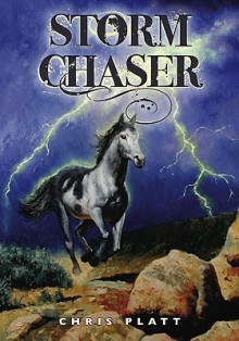 Storm Chaser - Chris Platt