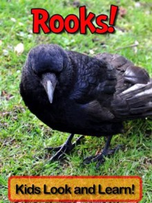 Rooks! Learn About Rooks and Enjoy Colorful Pictures - Look and Learn! (50+ Photos of Rooks) - Becky Wolff