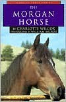 The Morgan Horse - Charlotte Wilcox, William Muñoz