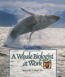 A Whale Biologist at Work - Sneed B. Collard III