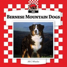 Bernese Mountain Dogs - Jill C. Wheeler