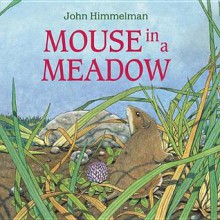 A Mouse in a Meadow - John Himmelman