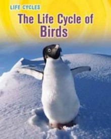 The Life Cycle of Birds - Susan H. Gray