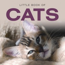 Little Book of Cats - Jon Stroud