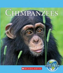 Chimpanzees - Katie Marsico