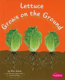 Lettuce Grows on the Ground (How Fruit and Vegetables Grow) - Mari C. Schuh