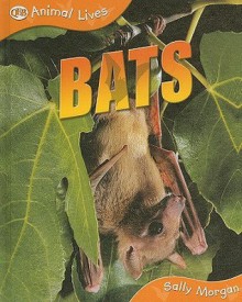 Bats - Sally Morgan