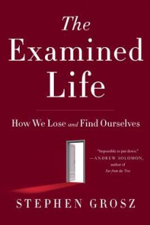 The Examined Life: How We Lose and Find Ourselves - Stephen Grosz