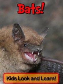 Bats! Learn About Bats and Enjoy Colorful Pictures - Look and Learn! (50+ Photos of Bats) - Becky Wolff