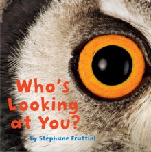 Who's Looking at You? - Stéphane Frattini