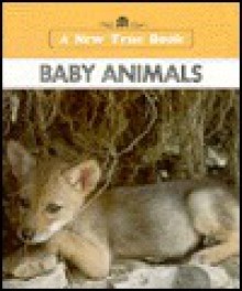 Baby Animals - Illa Podendorf