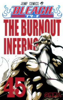 Bleach, Vol. 45: The Burnout Inferno - Tite Kubo