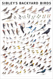 Sibley's Backyard Birds: Western North America - David Allen Sibley