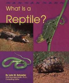 What Is a Reptile? - Lola M. Schaefer