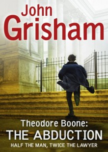 Theodore Boone: The Abduction - John Grisham