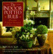 Indoor Potted Bulb - Rob Proctor