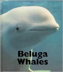Beluga Whales - Mary Berendes
