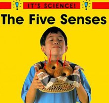 The Five Senses - Sally Hewitt