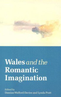 Wales and the Romantic Imagination - Damian Walford Davies