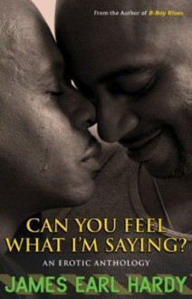 Can You Feel What I'm Saying?: An Erotic Anthology - James Earl Hardy